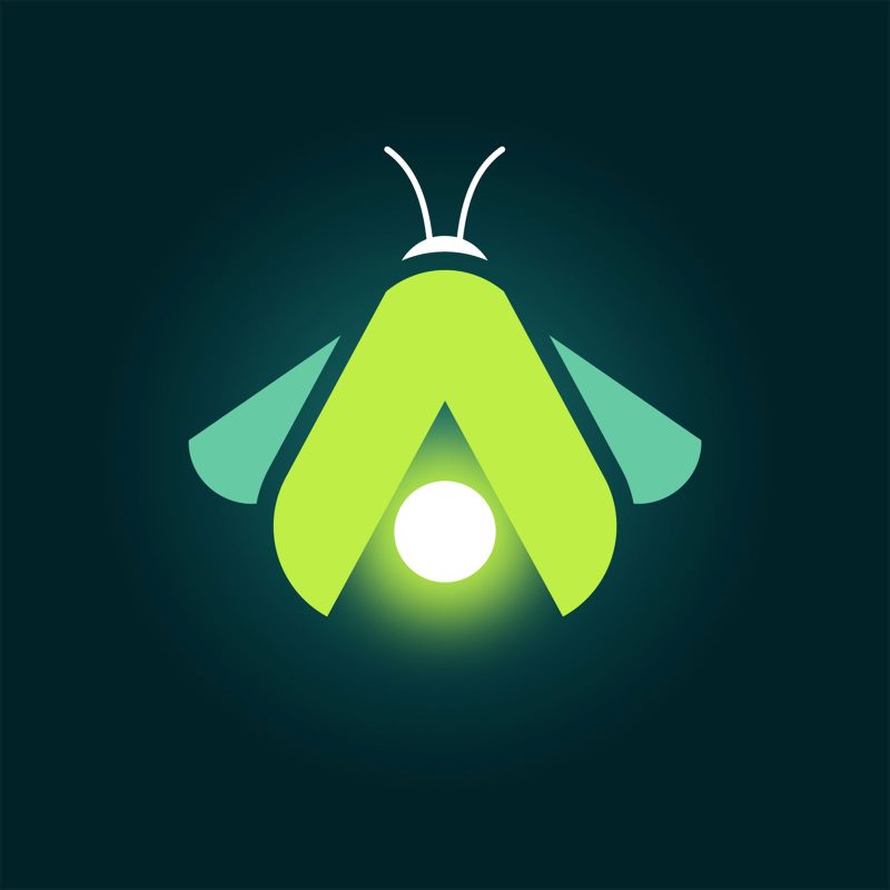 Firefly Placeholder